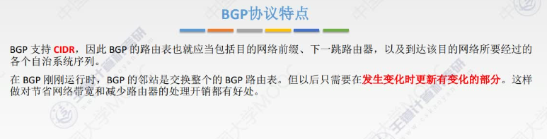 image-20241107215844525