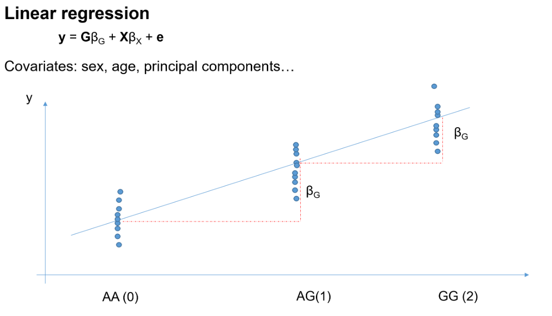 信息“线性回归的解释”