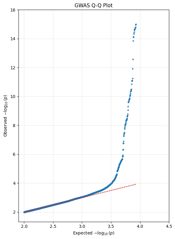 image-20251211163420914